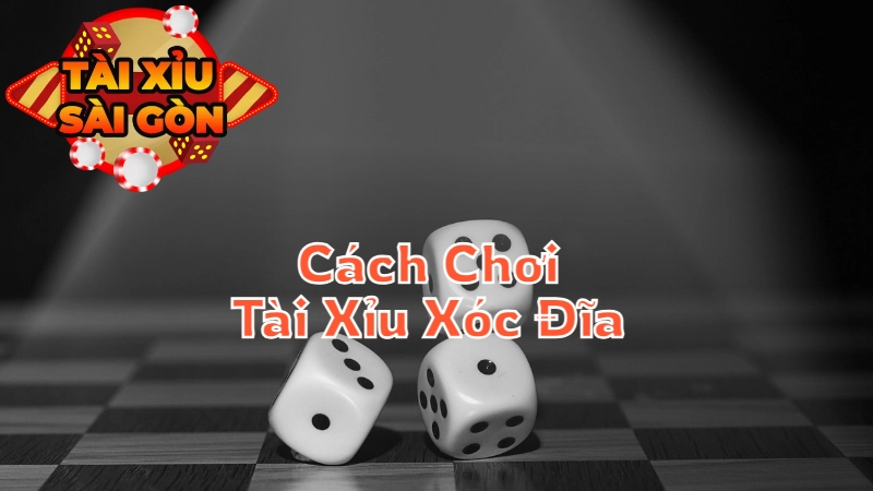 Cách Chơi Tài Xỉu Xóc Đĩa Đặc Biệt Tại Sài Gòn